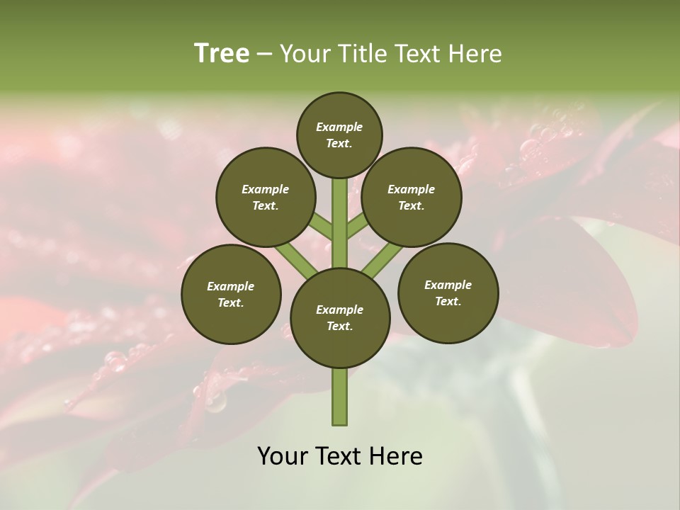 Drops Blooming Fresh PowerPoint Template