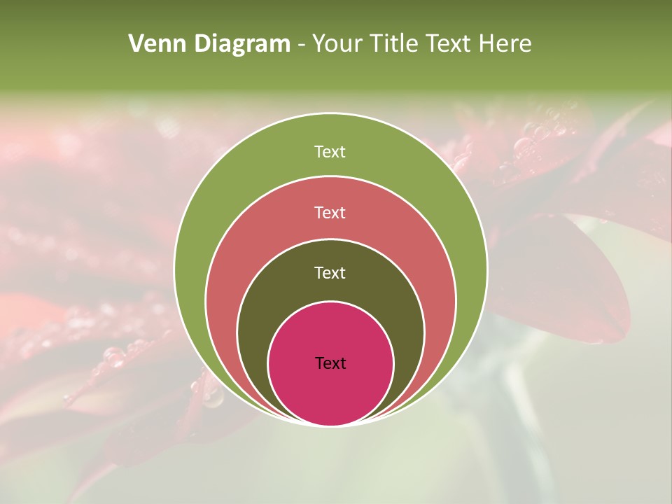 Drops Blooming Fresh PowerPoint Template