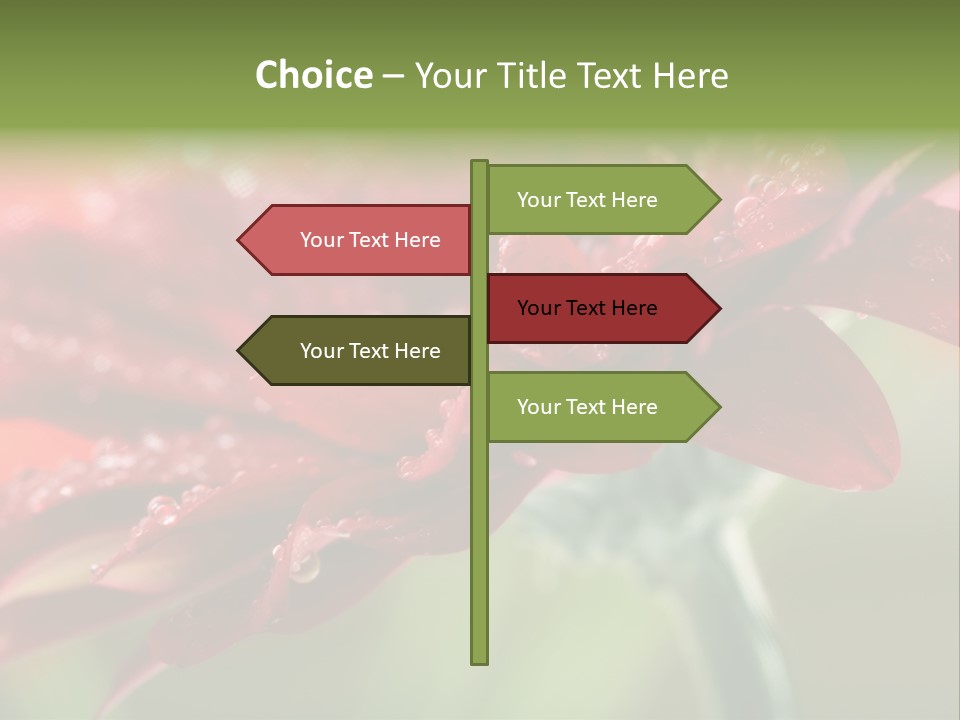 Drops Blooming Fresh PowerPoint Template