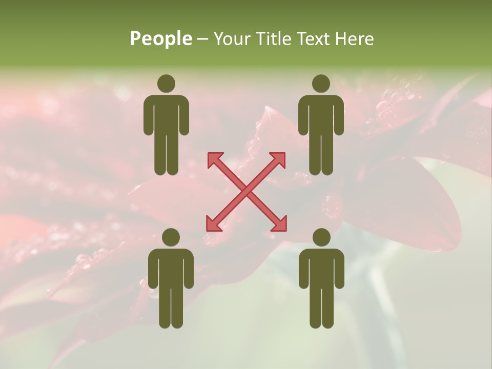 Drops Blooming Fresh PowerPoint Template