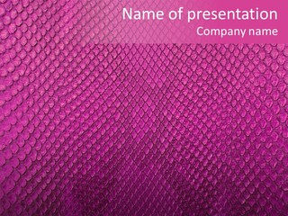 Reptile Design Reptilian PowerPoint Template