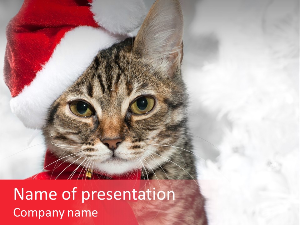 Decoration Postcard Xmas PowerPoint Template