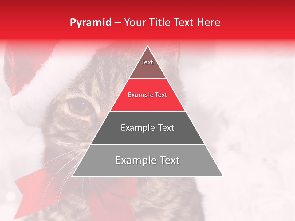 Decoration Postcard Xmas PowerPoint Template