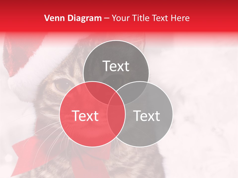 Decoration Postcard Xmas PowerPoint Template