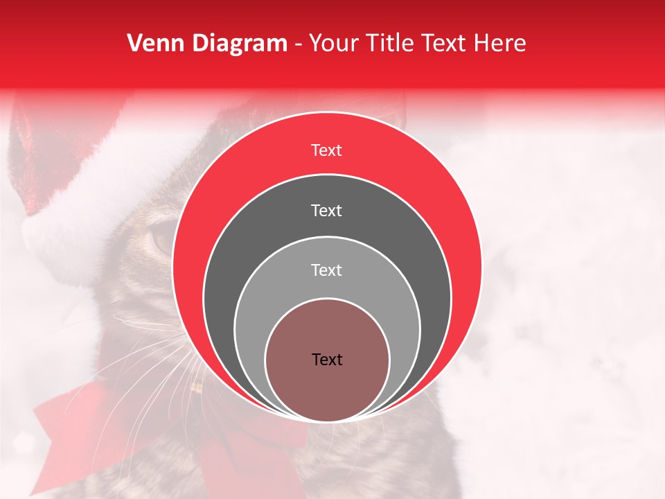 Decoration Postcard Xmas PowerPoint Template