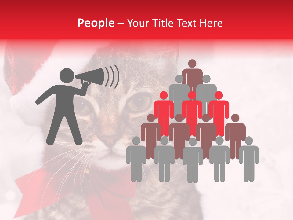 Decoration Postcard Xmas PowerPoint Template