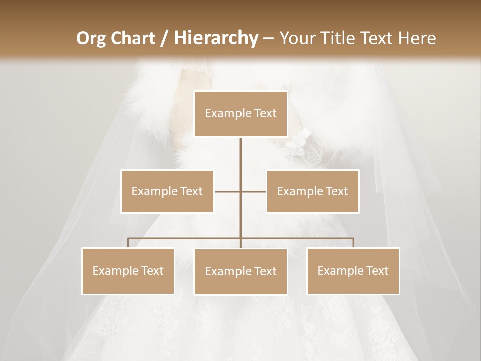 Studio Gown Nice PowerPoint Template