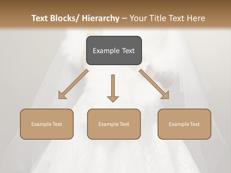 Studio Gown Nice PowerPoint Template