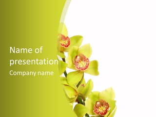 Di Cu Ion Writing Group PowerPoint Template