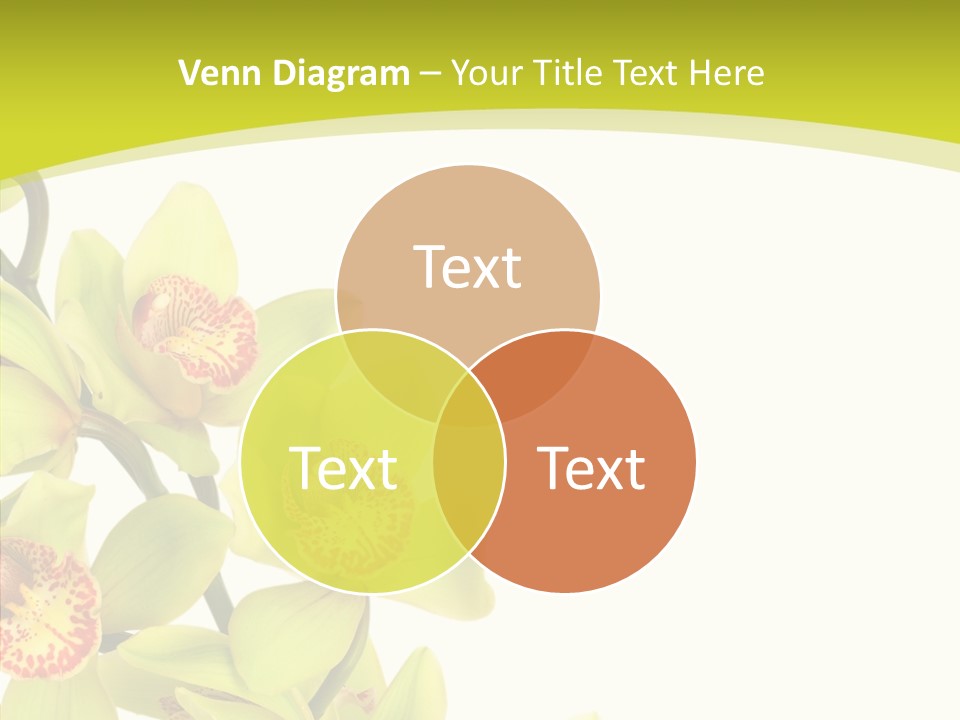 Di Cu Ion Writing Group PowerPoint Template