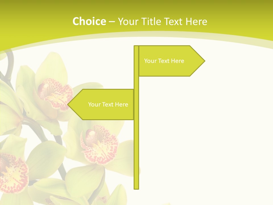 Di Cu Ion Writing Group PowerPoint Template