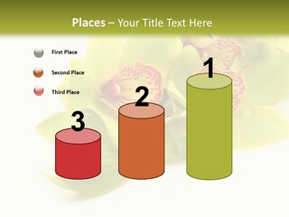 Di Cu Ion Itting Toon PowerPoint Template