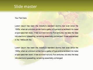 Di Cu Ion Itting Toon PowerPoint Template