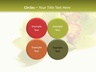 Di Cu Ion Itting Toon PowerPoint Template
