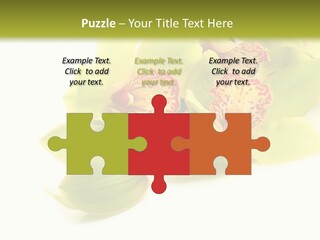 Di Cu Ion Itting Toon PowerPoint Template