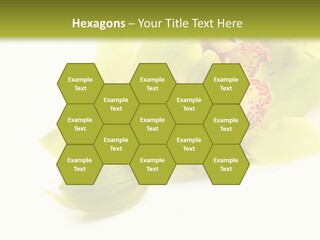 Di Cu Ion Itting Toon PowerPoint Template
