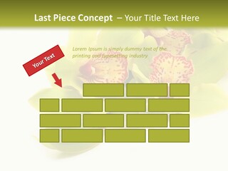 Di Cu Ion Itting Toon PowerPoint Template