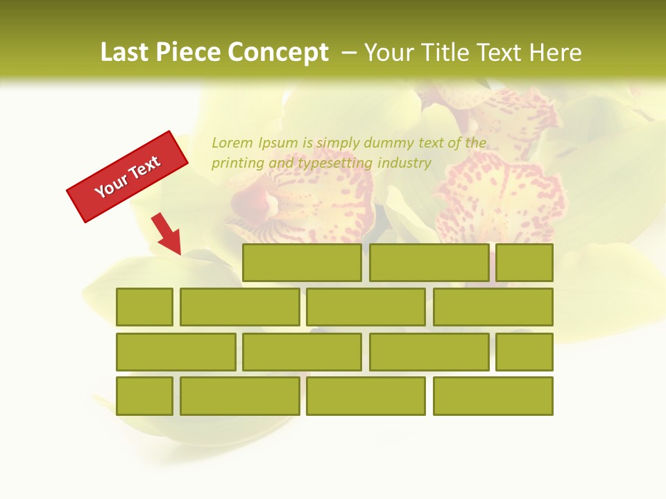 Di Cu Ion Itting Toon PowerPoint Template