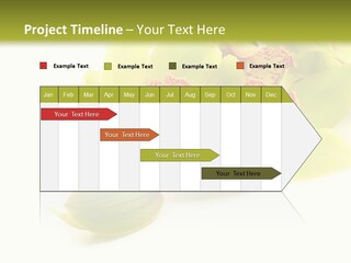 Di Cu Ion Itting Toon PowerPoint Template