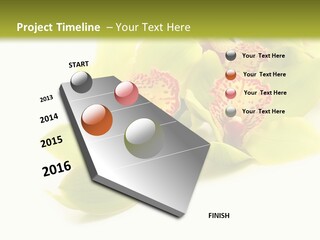 Di Cu Ion Itting Toon PowerPoint Template
