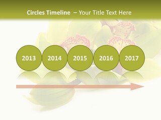 Di Cu Ion Itting Toon PowerPoint Template