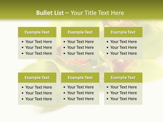 Di Cu Ion Itting Toon PowerPoint Template