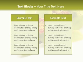 Di Cu Ion Itting Toon PowerPoint Template