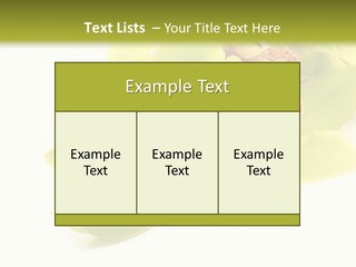 Di Cu Ion Itting Toon PowerPoint Template