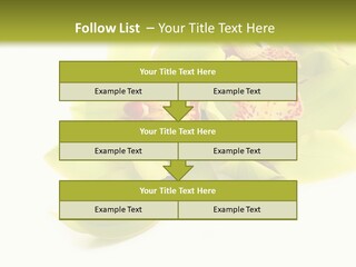 Di Cu Ion Itting Toon PowerPoint Template