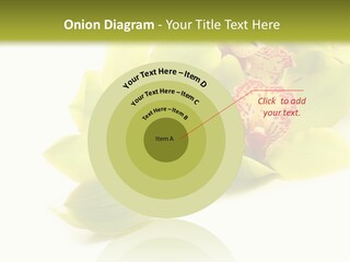 Di Cu Ion Itting Toon PowerPoint Template