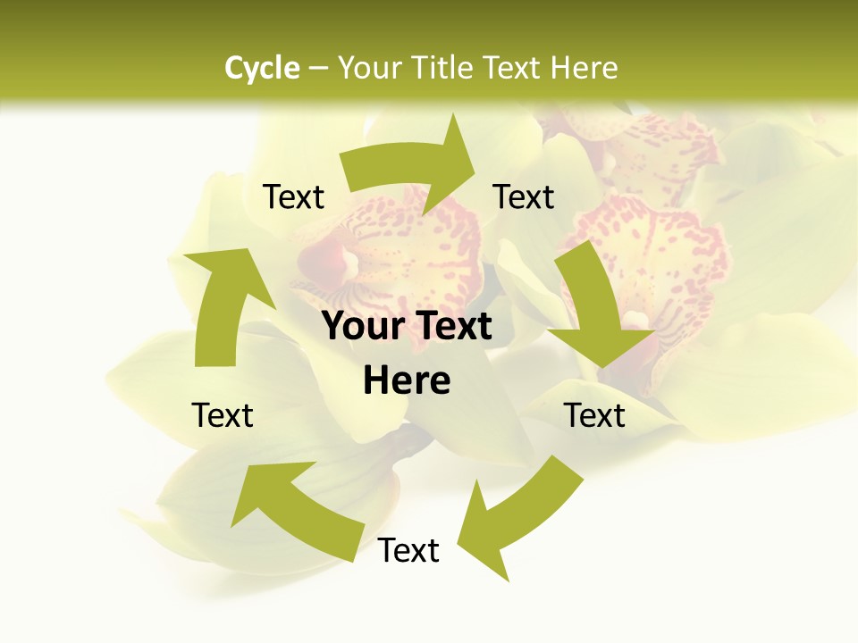 Di Cu Ion Itting Toon PowerPoint Template