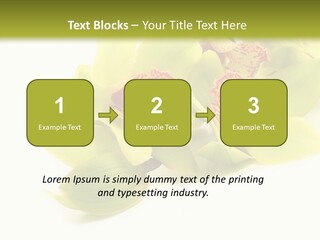 Di Cu Ion Itting Toon PowerPoint Template