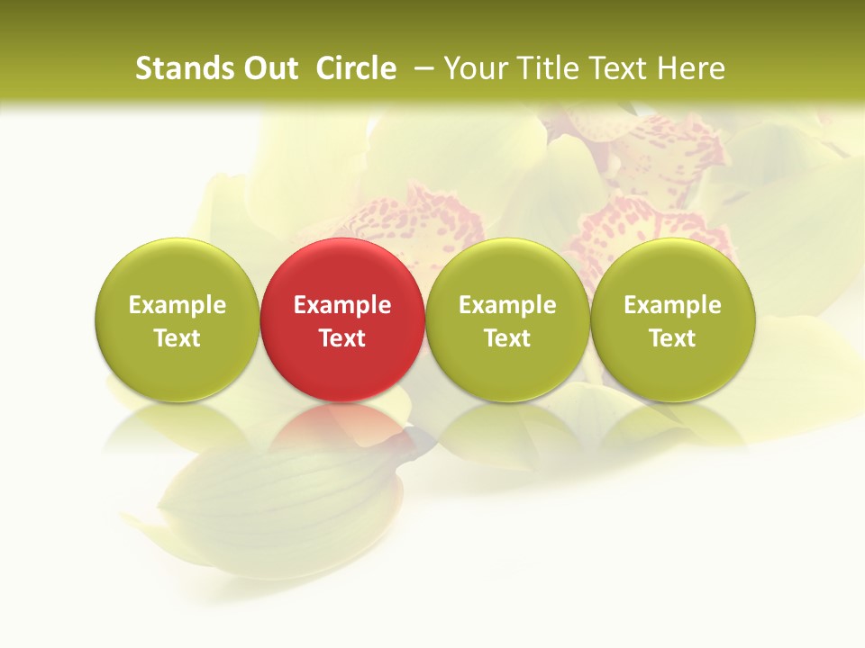 Di Cu Ion Itting Toon PowerPoint Template