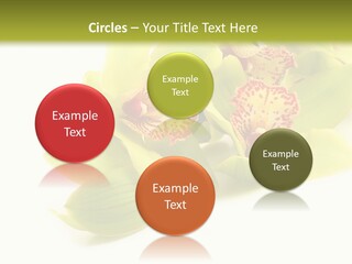 Di Cu Ion Itting Toon PowerPoint Template