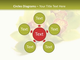 Di Cu Ion Itting Toon PowerPoint Template
