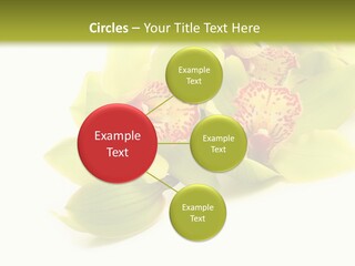 Di Cu Ion Itting Toon PowerPoint Template