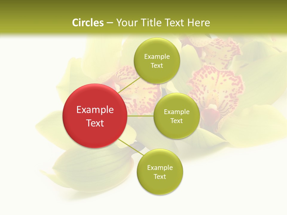 Di Cu Ion Itting Toon PowerPoint Template