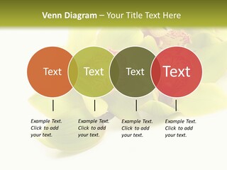 Di Cu Ion Itting Toon PowerPoint Template