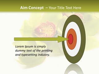Di Cu Ion Itting Toon PowerPoint Template