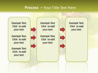 Di Cu Ion Itting Toon PowerPoint Template