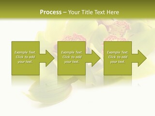 Di Cu Ion Itting Toon PowerPoint Template