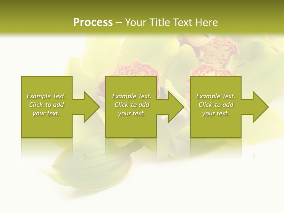 Di Cu Ion Itting Toon PowerPoint Template