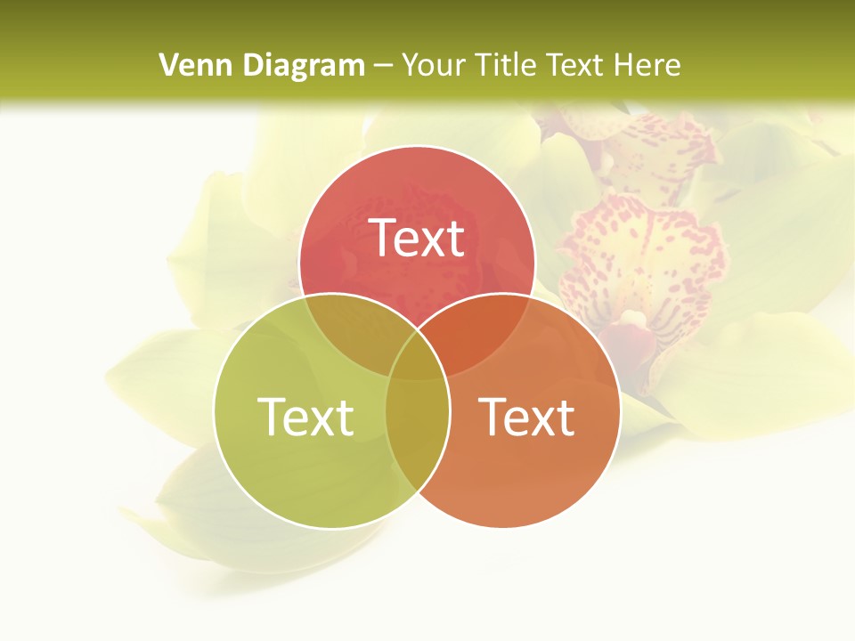Di Cu Ion Itting Toon PowerPoint Template