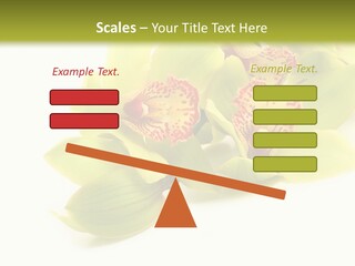 Di Cu Ion Itting Toon PowerPoint Template