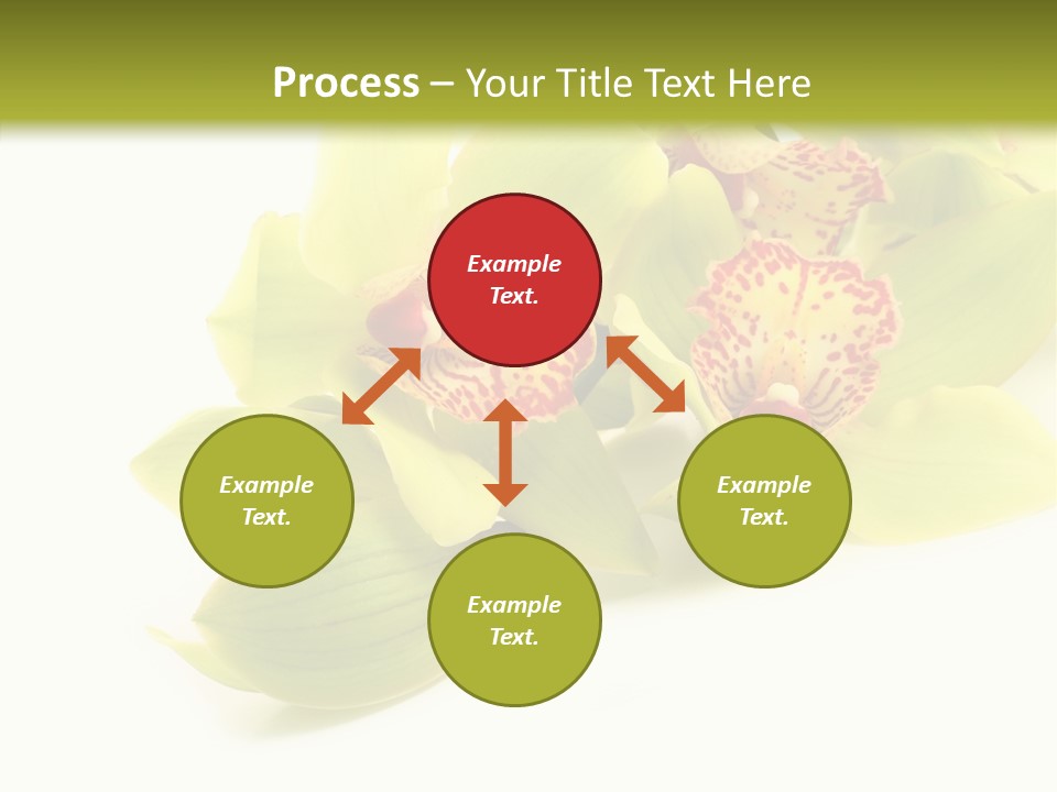 Di Cu Ion Itting Toon PowerPoint Template