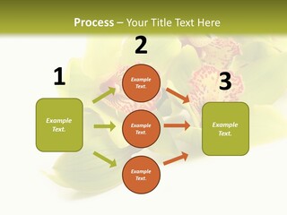 Di Cu Ion Itting Toon PowerPoint Template