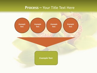 Di Cu Ion Itting Toon PowerPoint Template
