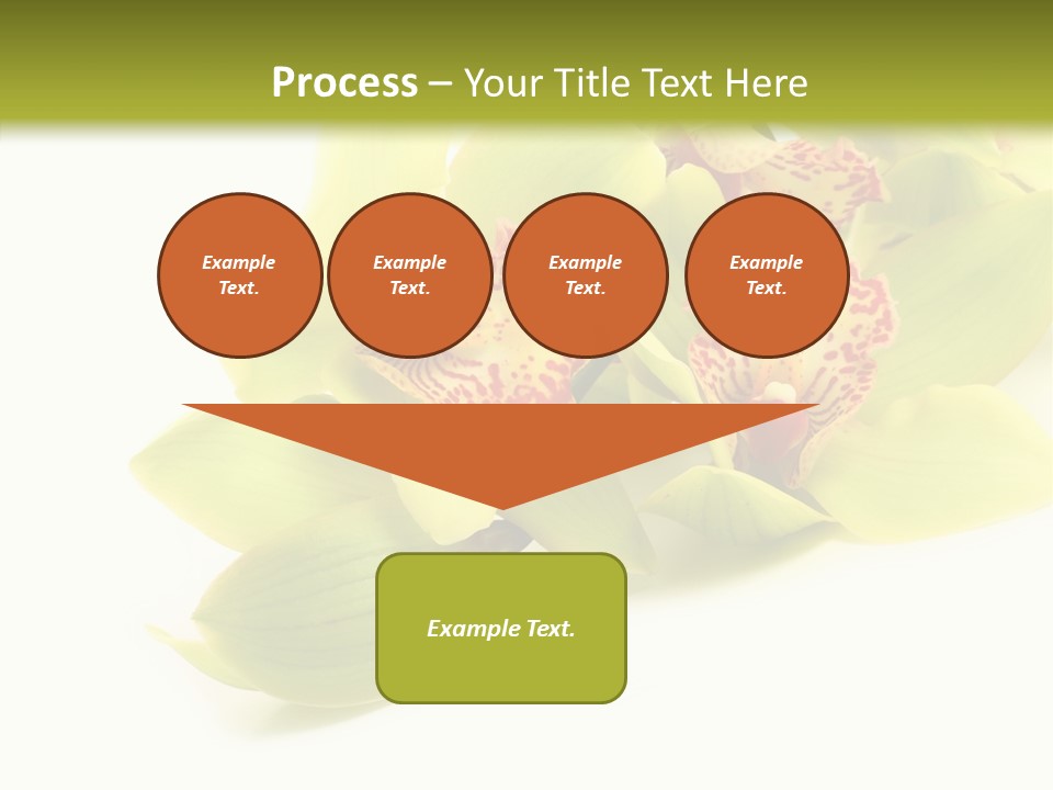 Di Cu Ion Itting Toon PowerPoint Template