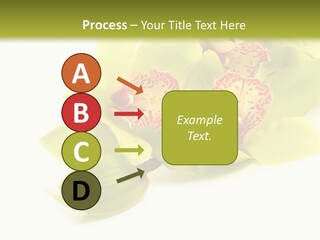 Di Cu Ion Itting Toon PowerPoint Template