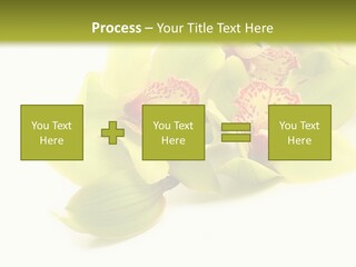 Di Cu Ion Itting Toon PowerPoint Template